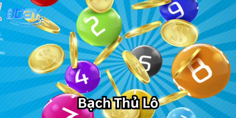 Bạch Thủ Lô là gì?