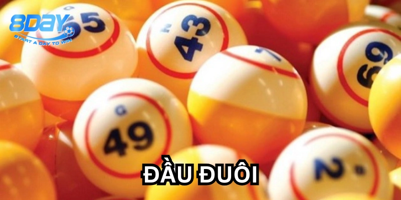 Đầu Đuôi là gì?